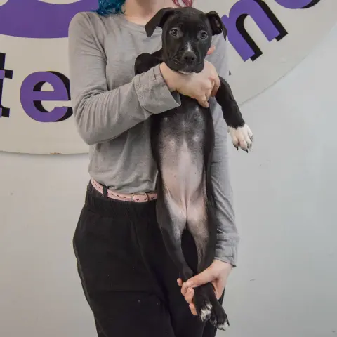 Treasure thumbnail 3