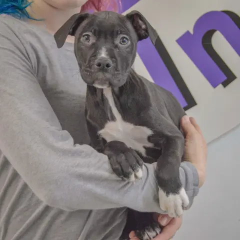 Treasure thumbnail 4