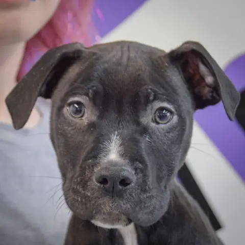 Treasure thumbnail 5