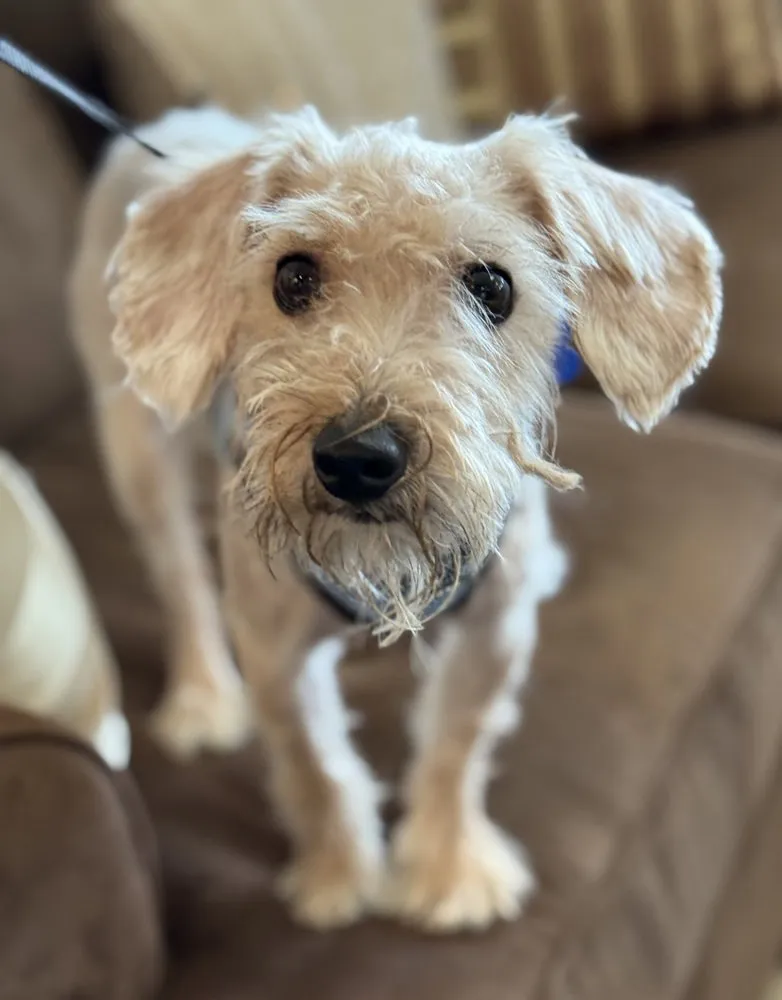 Teddy Roosevelt - Photo 1