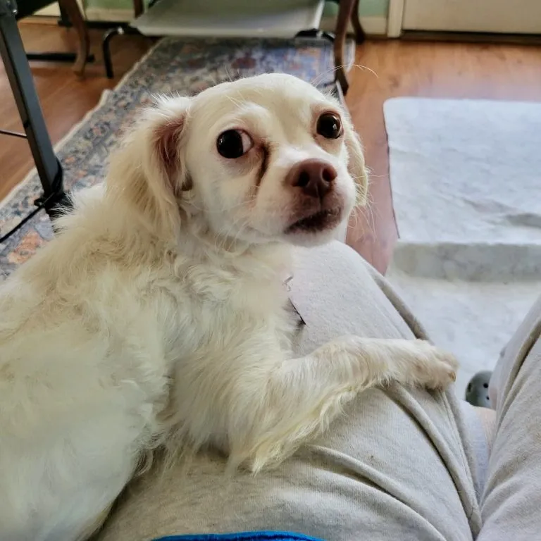 Miss Toots - Photo 1