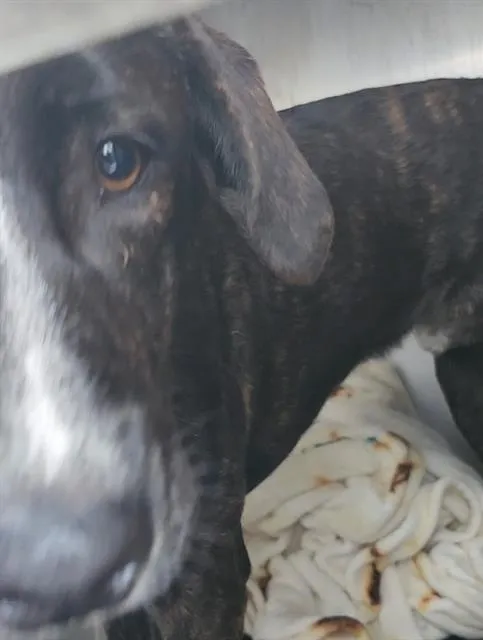 Independence - Photo 1