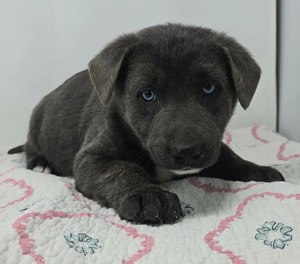 Bahama Breeze - Photo 1