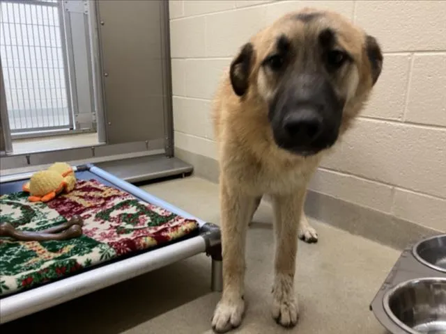 Prince Eric - Photo 1