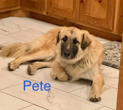 Pete
