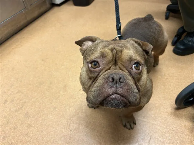 Thurman Murman - Photo 1