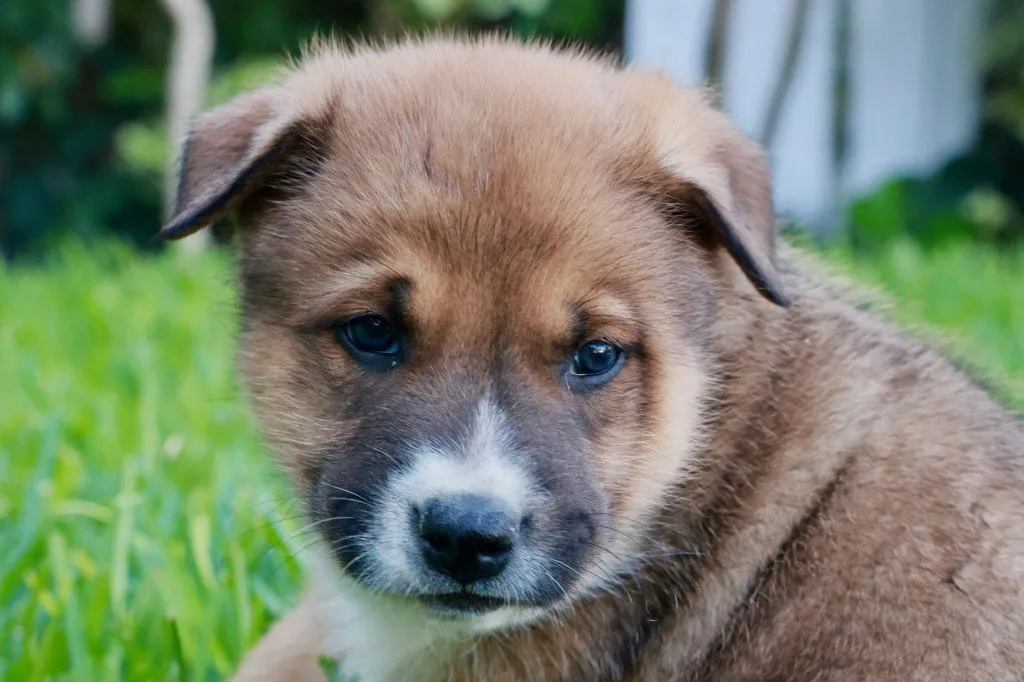 Twinkle Toes - Photo 1