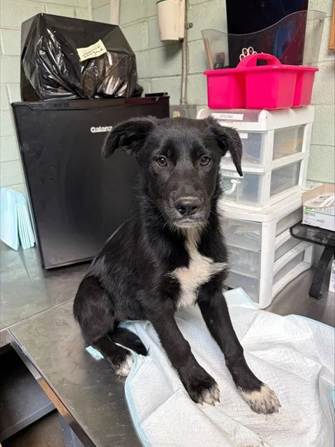 Dorothy Ann - Photo 1