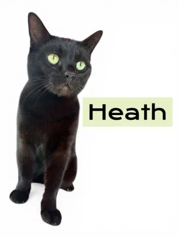 Heath