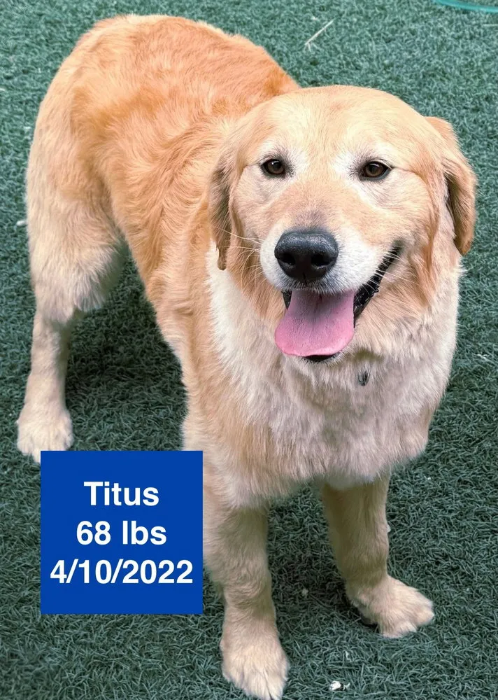 Titus - Photo 1