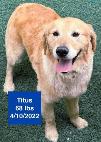 Titus
