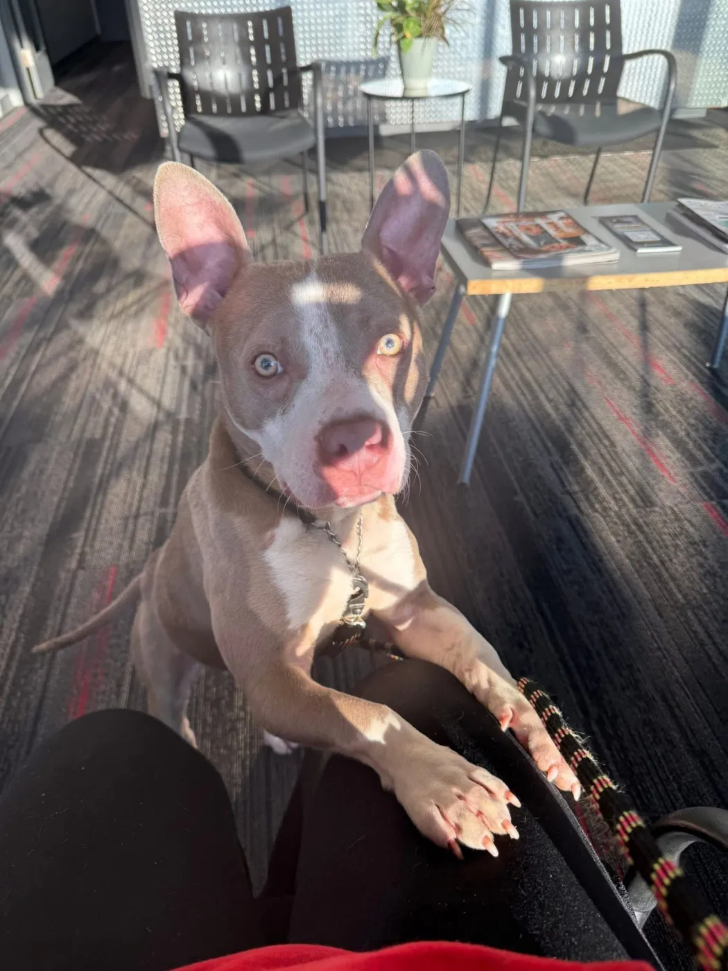 Ears McGee - Photo 1