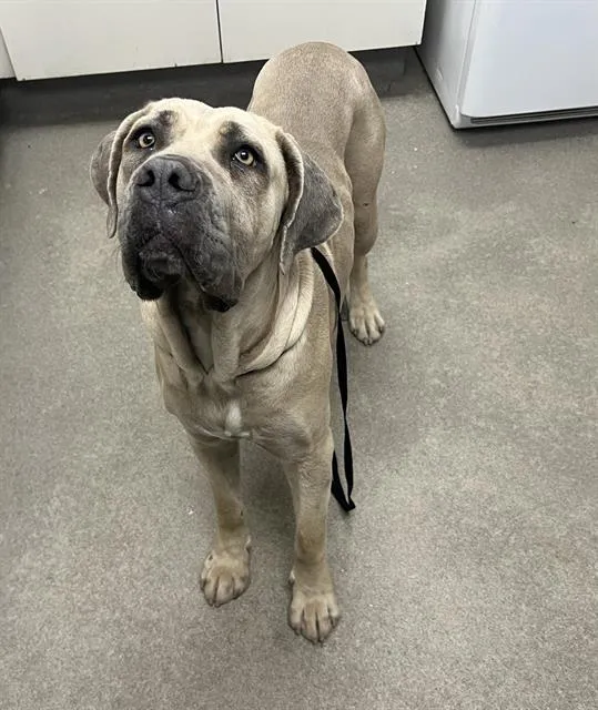 Cielo Azul - Photo 1