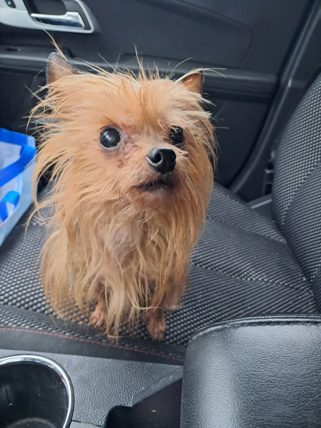 Tinkerbell - Photo 1