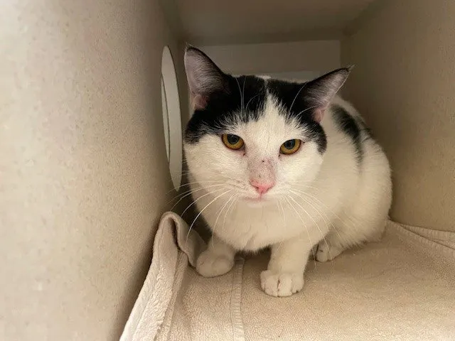 Hubba Bubba - Photo 1