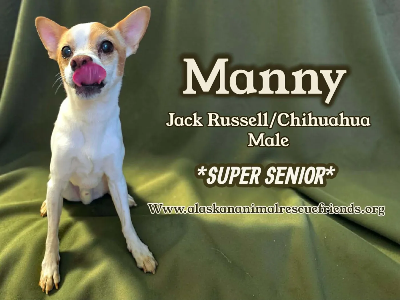 Manny - Photo 1