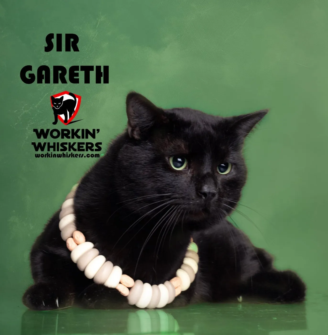 Sir Gareth - Photo 1