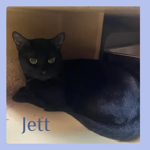 Jett