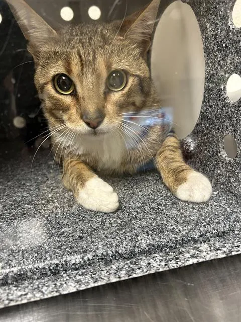 Fuzz Aldrin - Photo 1