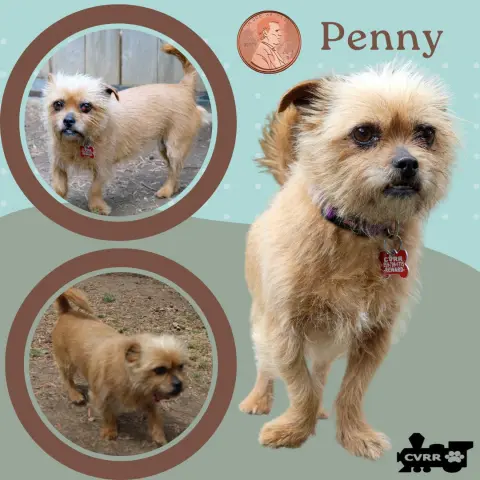 Penny