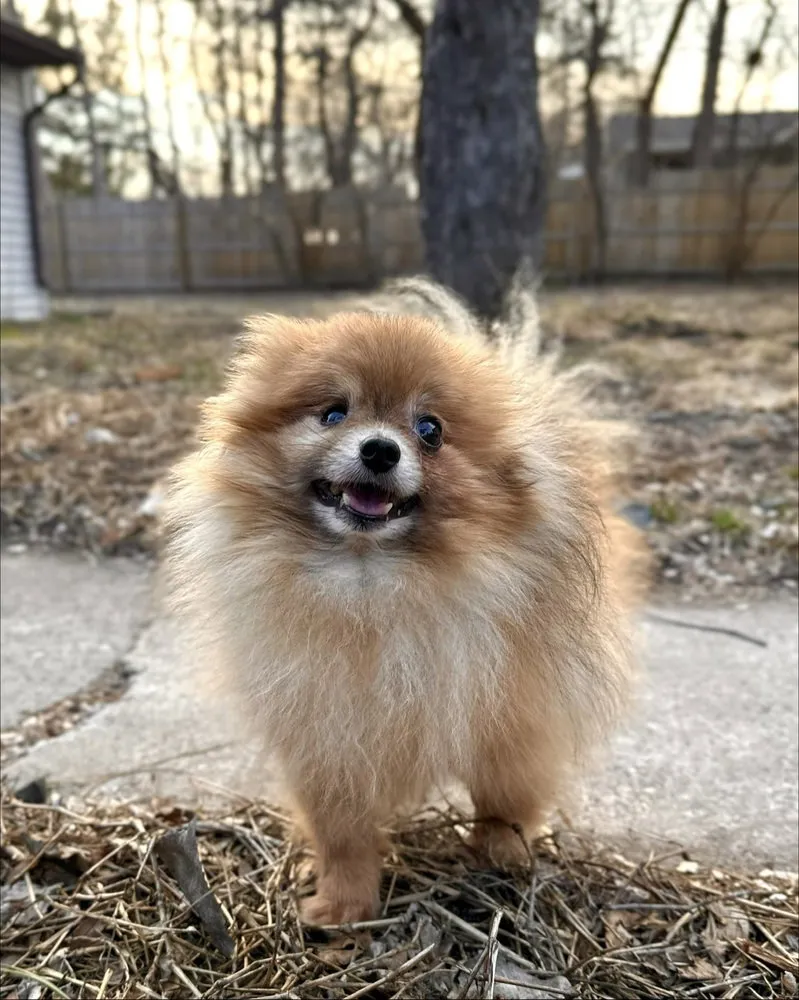 Sloppy Joe - Photo 1