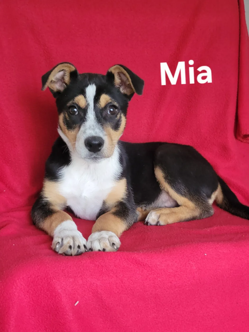 Mia - Photo 1