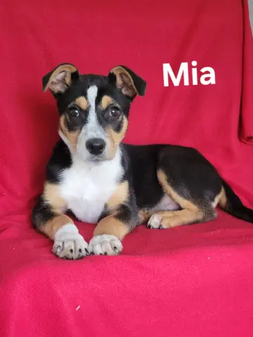 Mia