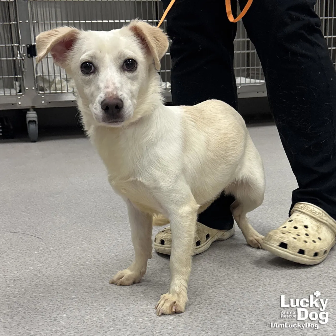 Clementine - Photo 1