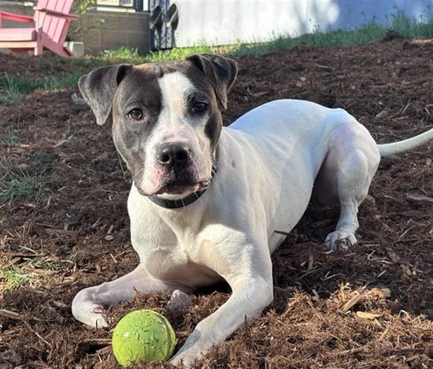 Miss Enigma - Photo 1