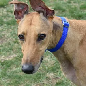 Change Gonna Come - Photo 1