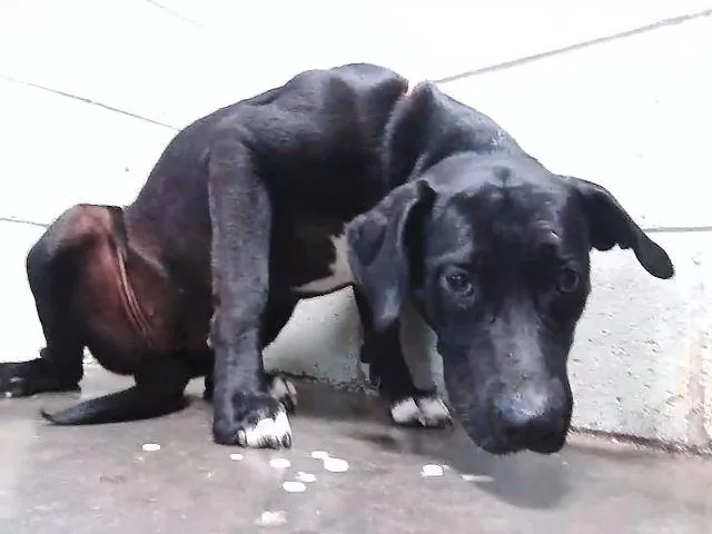 Miss Blaque - Photo 1