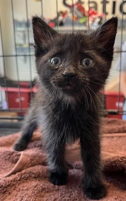 Wiggleworm - Photo 1