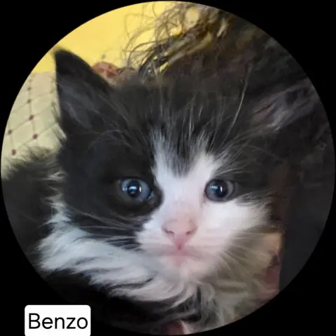 Benzo