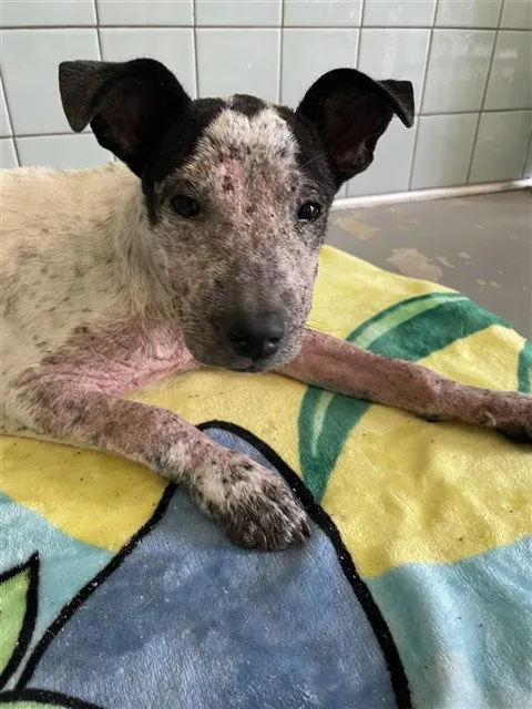 Loretta Lynn - Photo 1