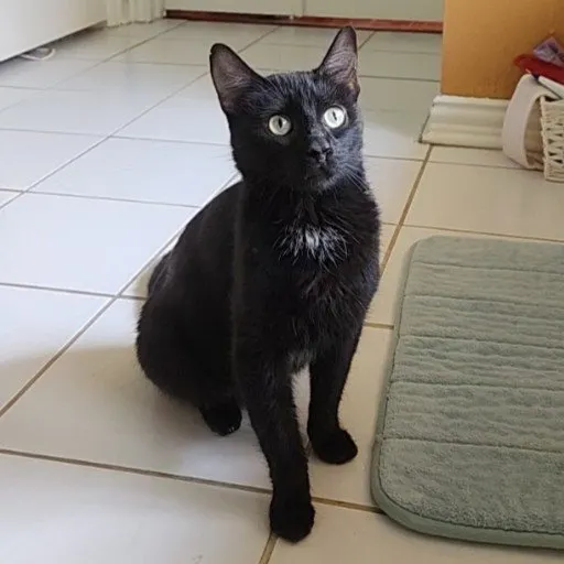 Penny Lane - Photo 1