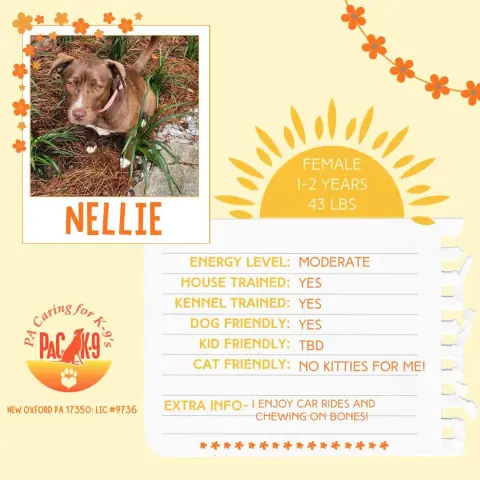 Nellie