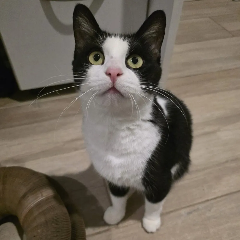 Dance Dance - Photo 1