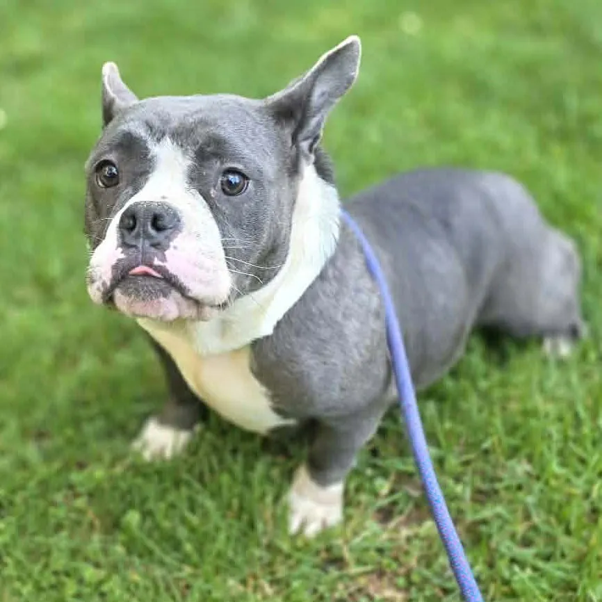 Mama Maisie - Photo 1