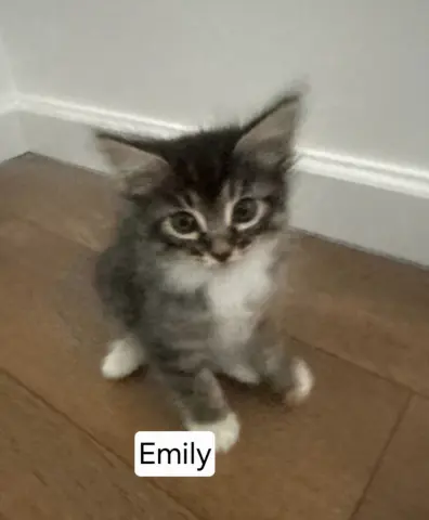 Emily