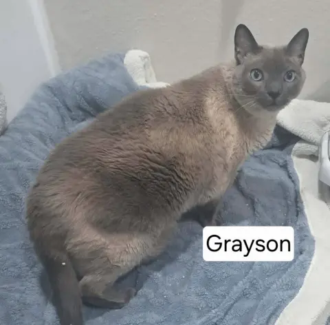 Grayson