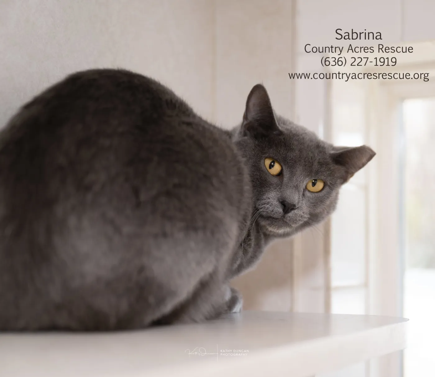 Sabrina - Photo 1