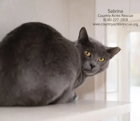 Sabrina