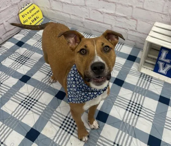 Norm Maclean - Photo 1