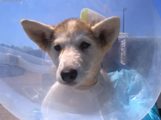 Merryweather - Photo 1