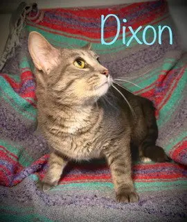 Dixon