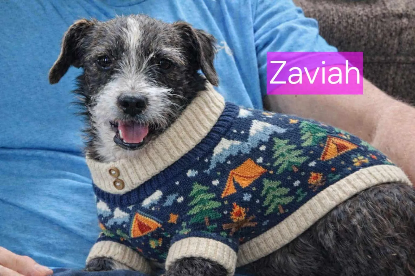 Zavia - Photo 1