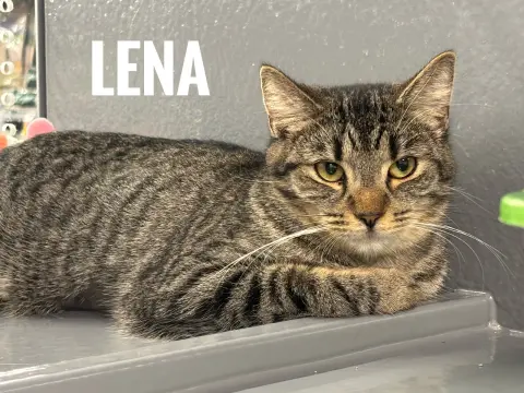 Lena