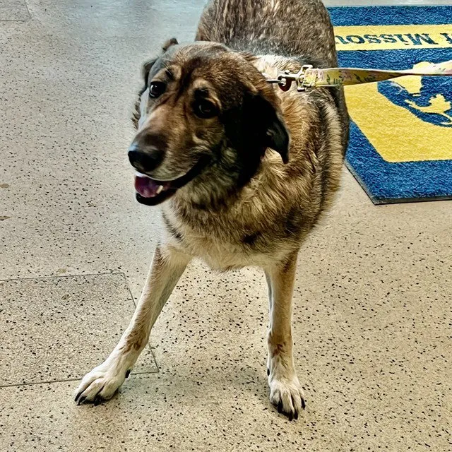 Coco Maple - Photo 1