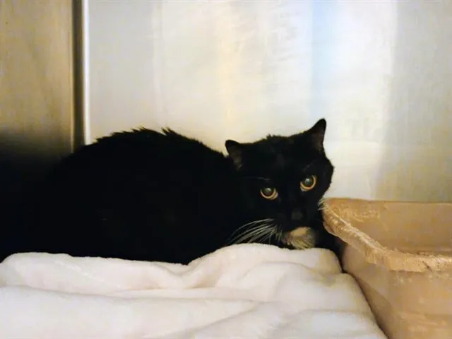 Almond Joy - Photo 1