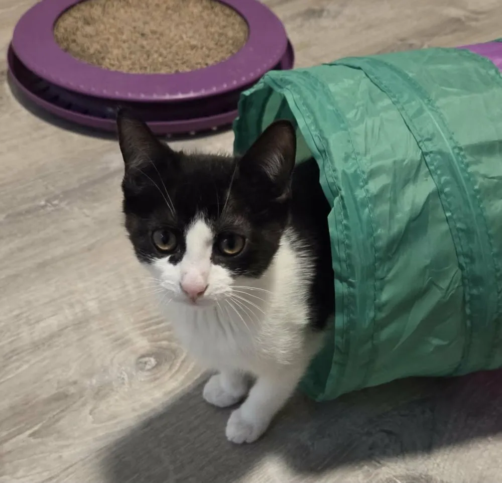 Mississippi - Photo 1